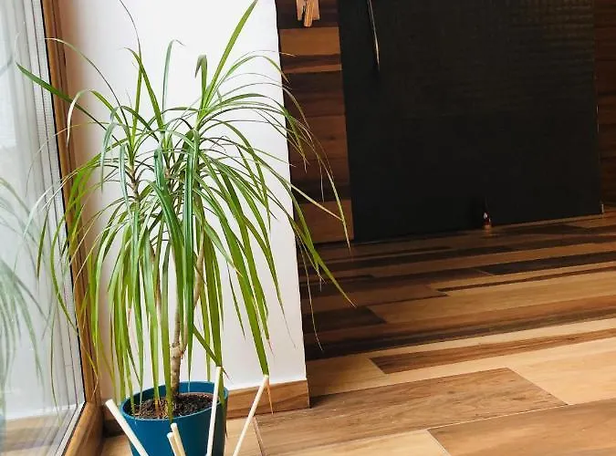 Accommodatie bij particulieren Mala Czantoria