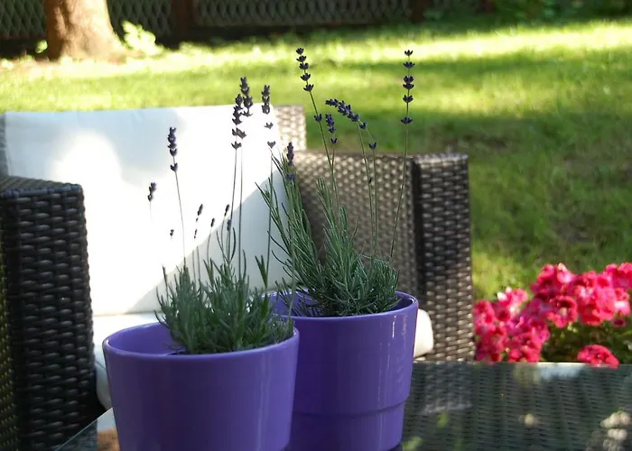 Mala Czantoria בית אירוח *